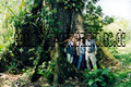 Die Teilnehmer der Expeditionen durch den Urwald von Costa Rica die unerkannt bleiben wollen, vor einem Urwaldriesen, schwer zu sagen wie hoch der Baum war. Ich schätze 70 Meter. Der Stamm hatte einen Durchmesser von etwa 5-6 Meter.